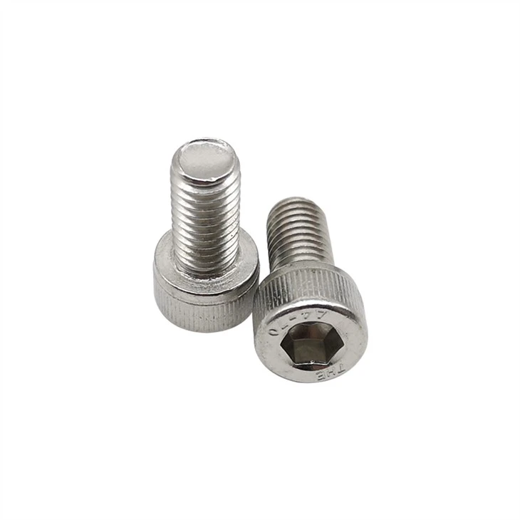 316 Stainless Steel Socket Head Screws